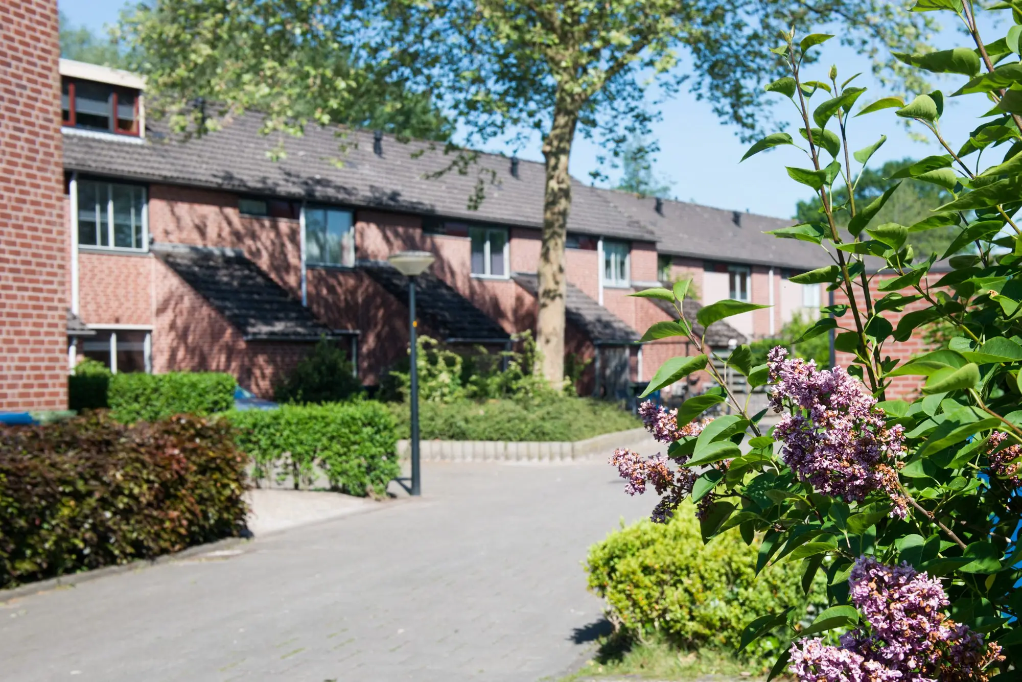 Griffiersveld-apeldoorn-6