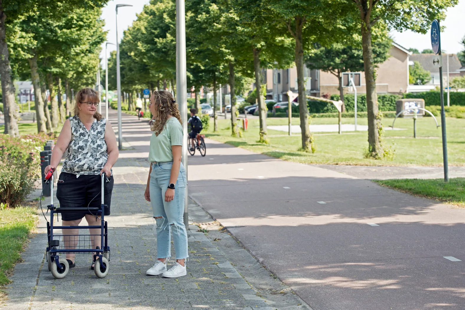 Vierlander Dronten