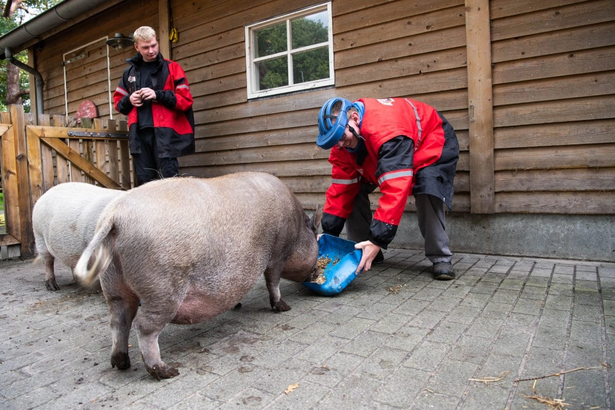 Boerderij Kleurrijk 4