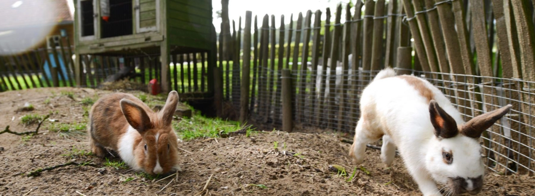 Boerderij kleurrijk 1