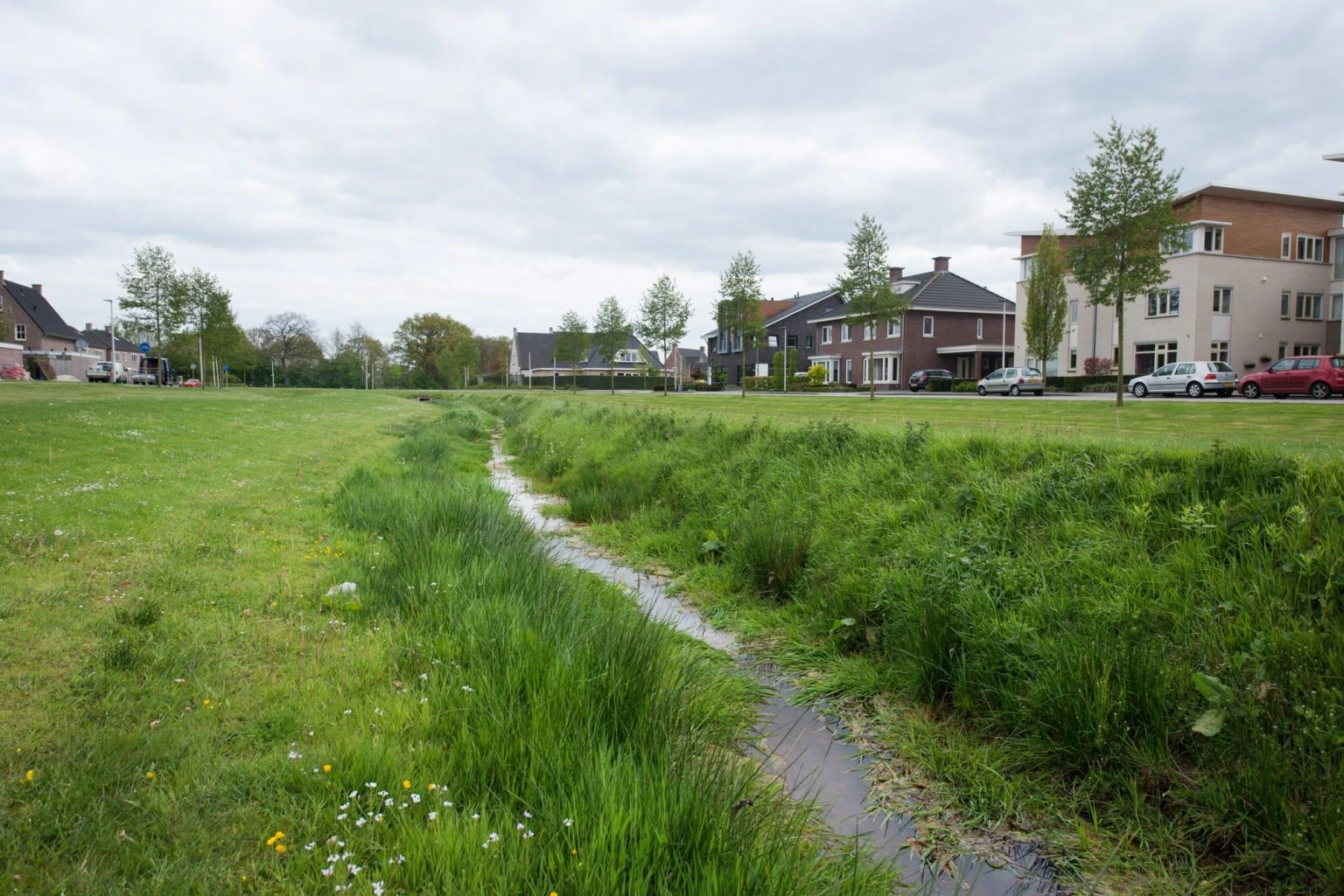 De Haarboer 5