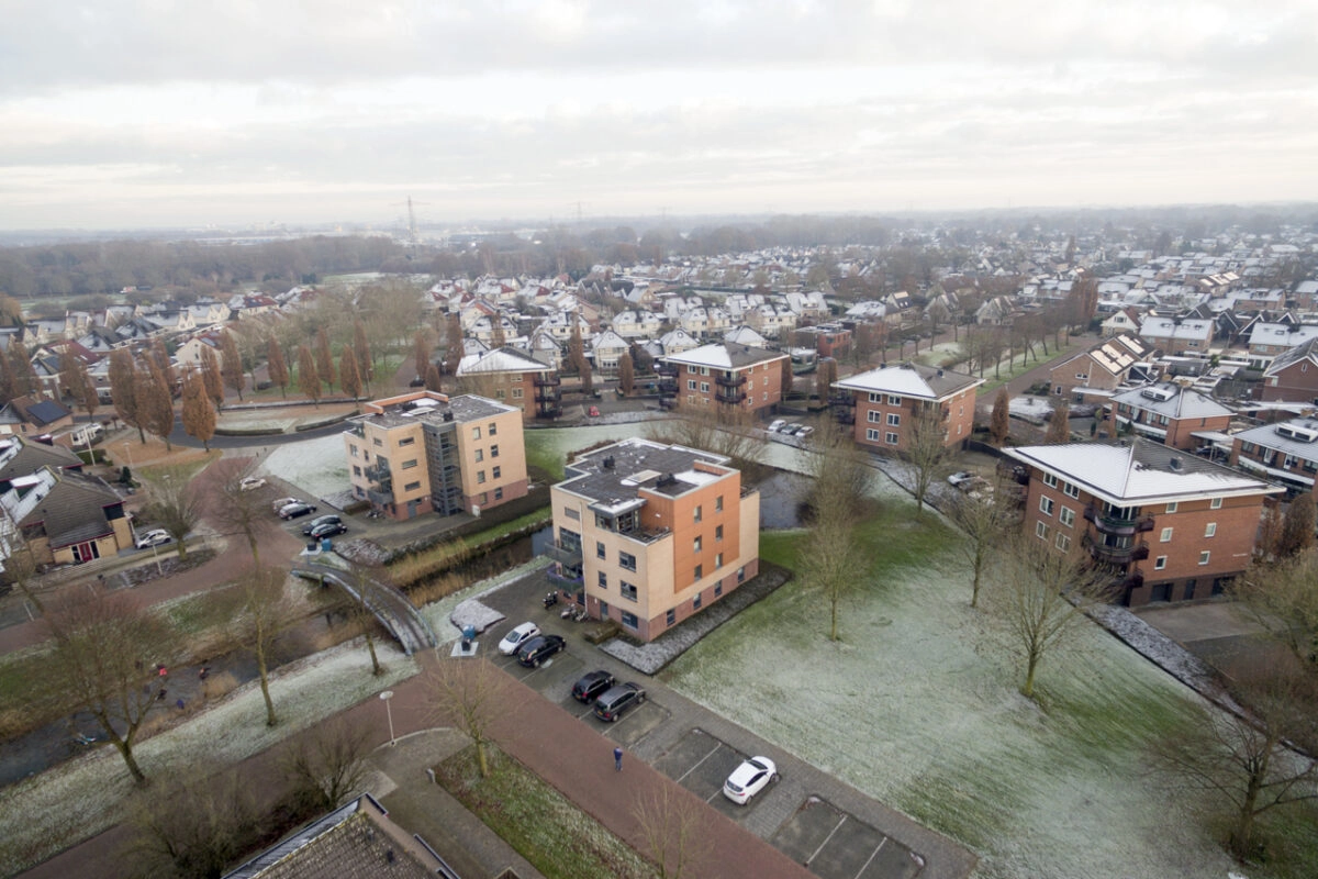 De Weuste Wierden 6