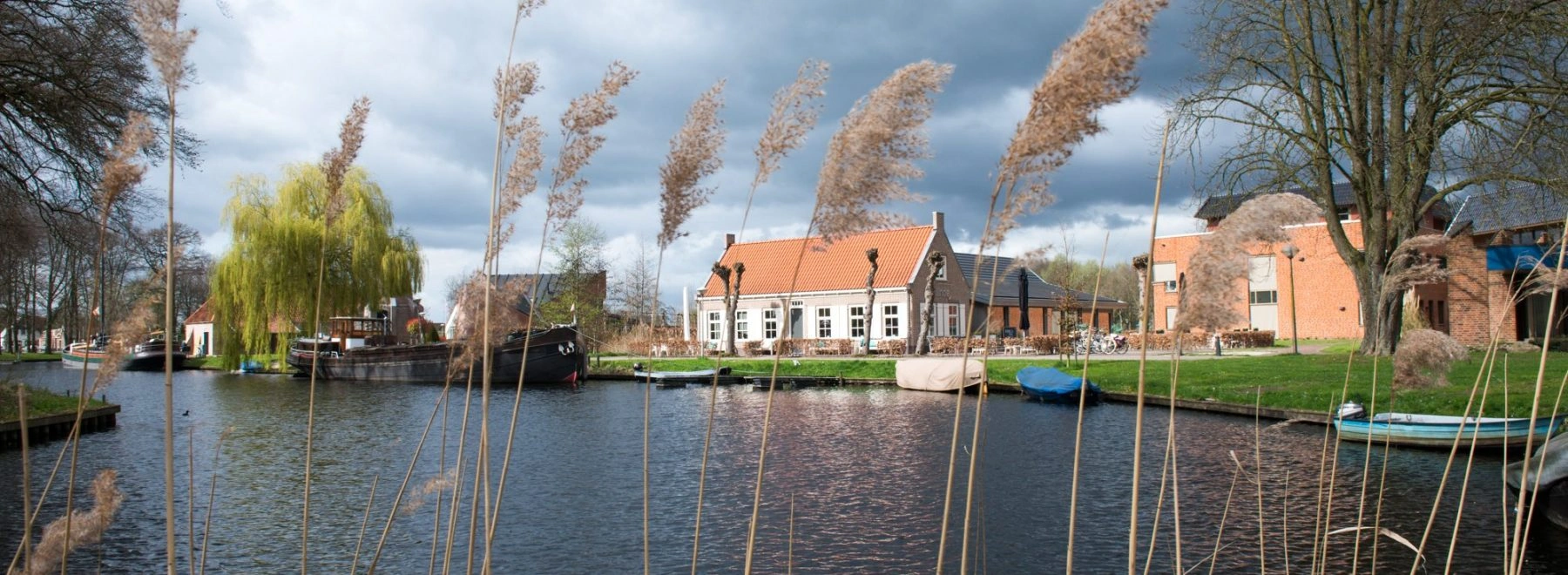 De linde Hasselt 1