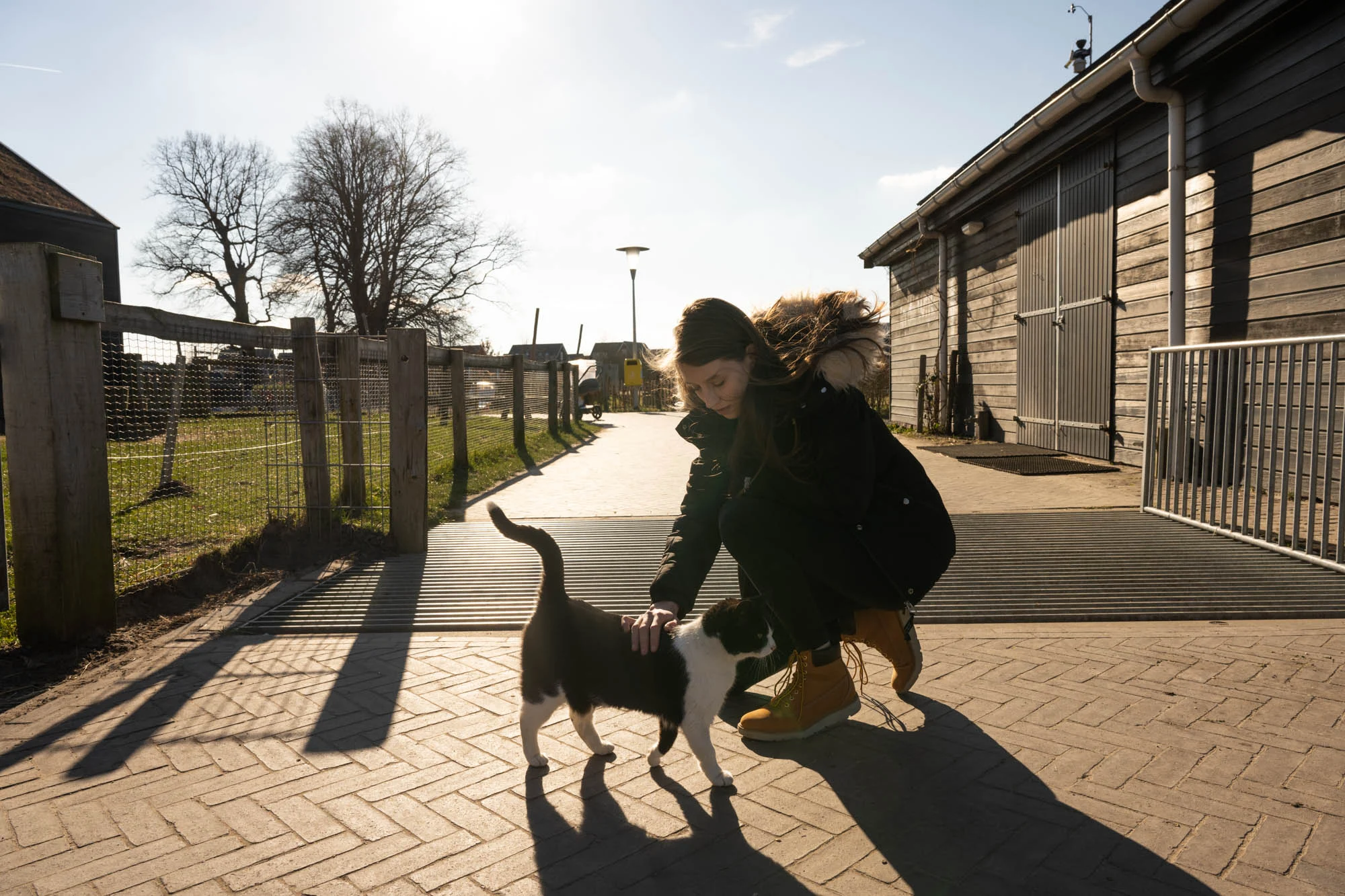 Duiker Zwolle 4