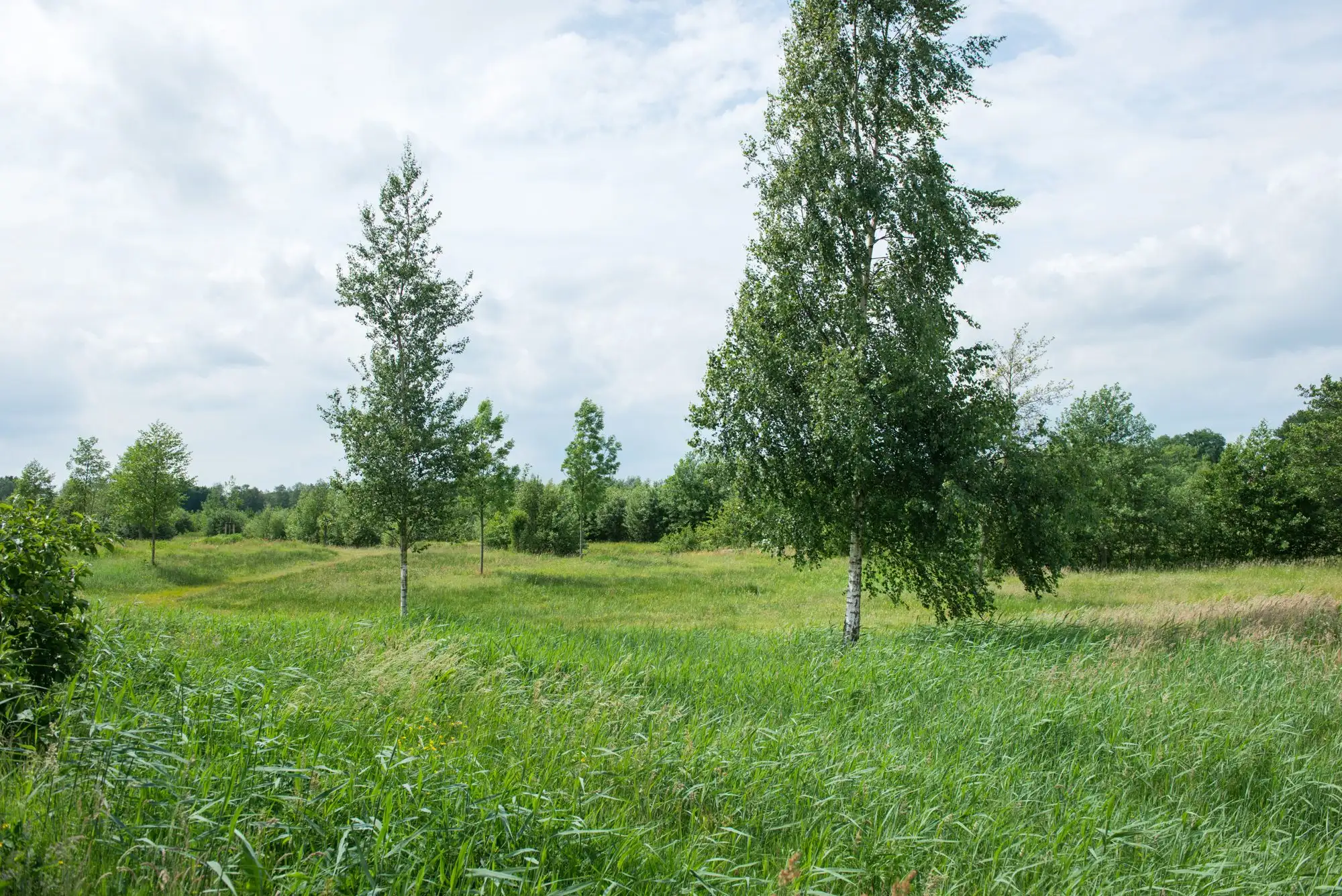 Erve Klöpper Oldenzaal 4