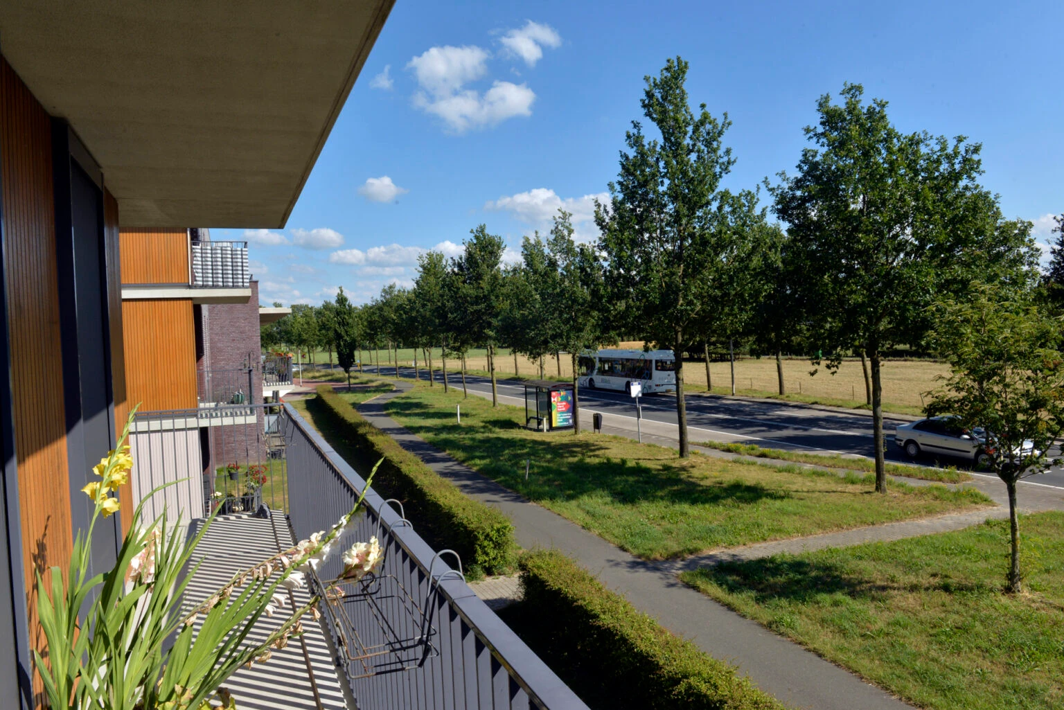 Noorderkoeslag Wijhe 6