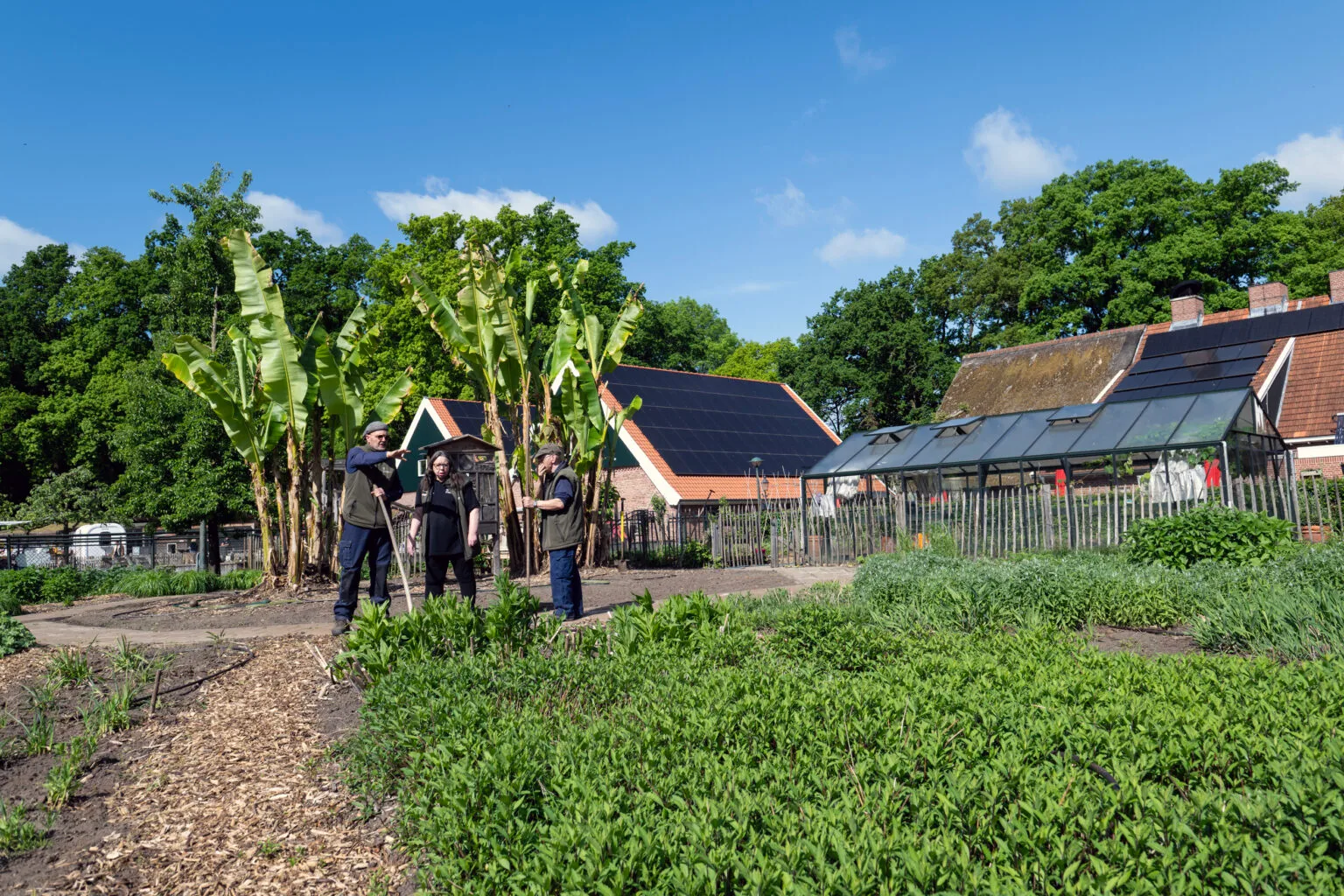 Stadsboerderij De Wesseler 7