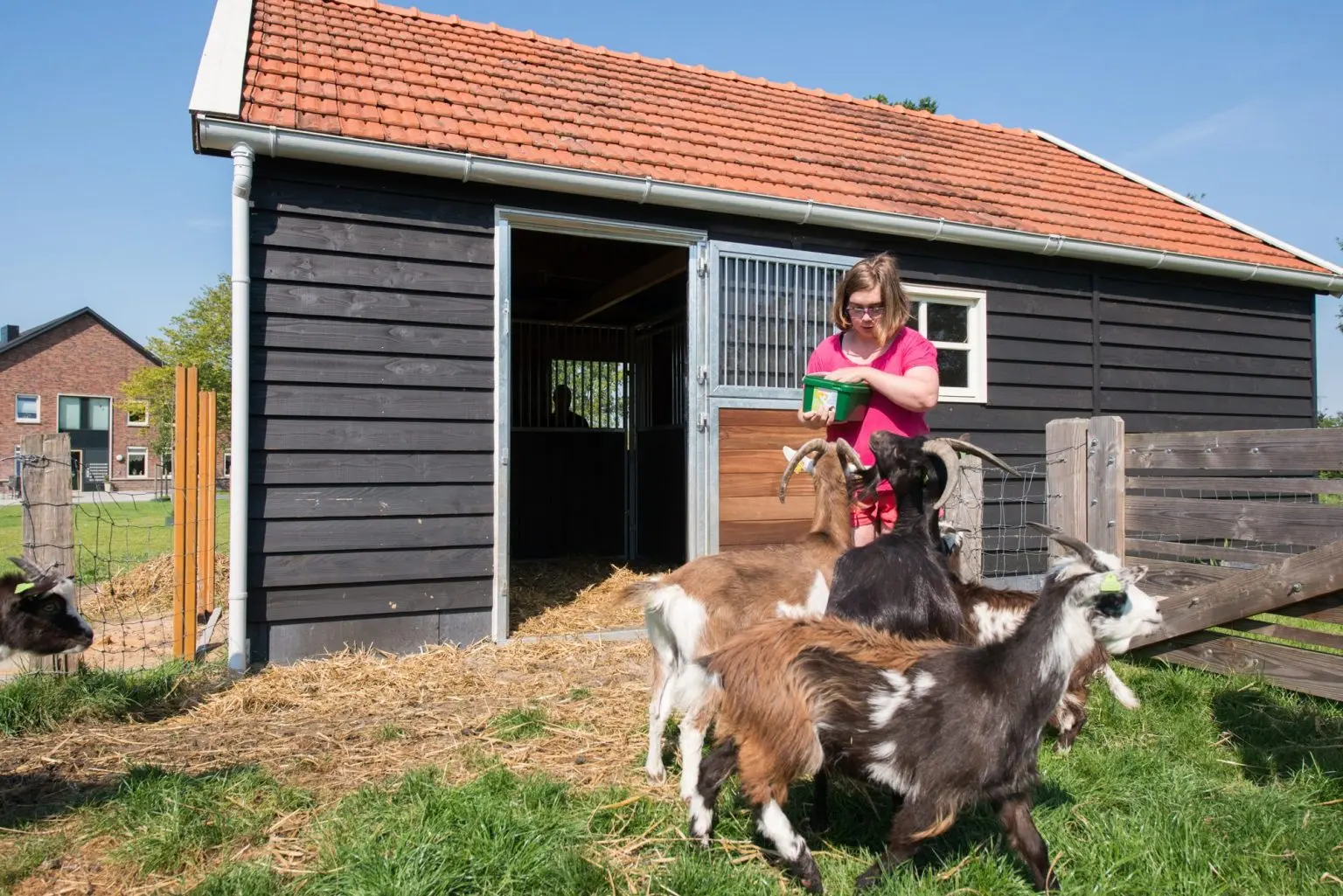 Werklocatie-Erve-t-Leppink-7