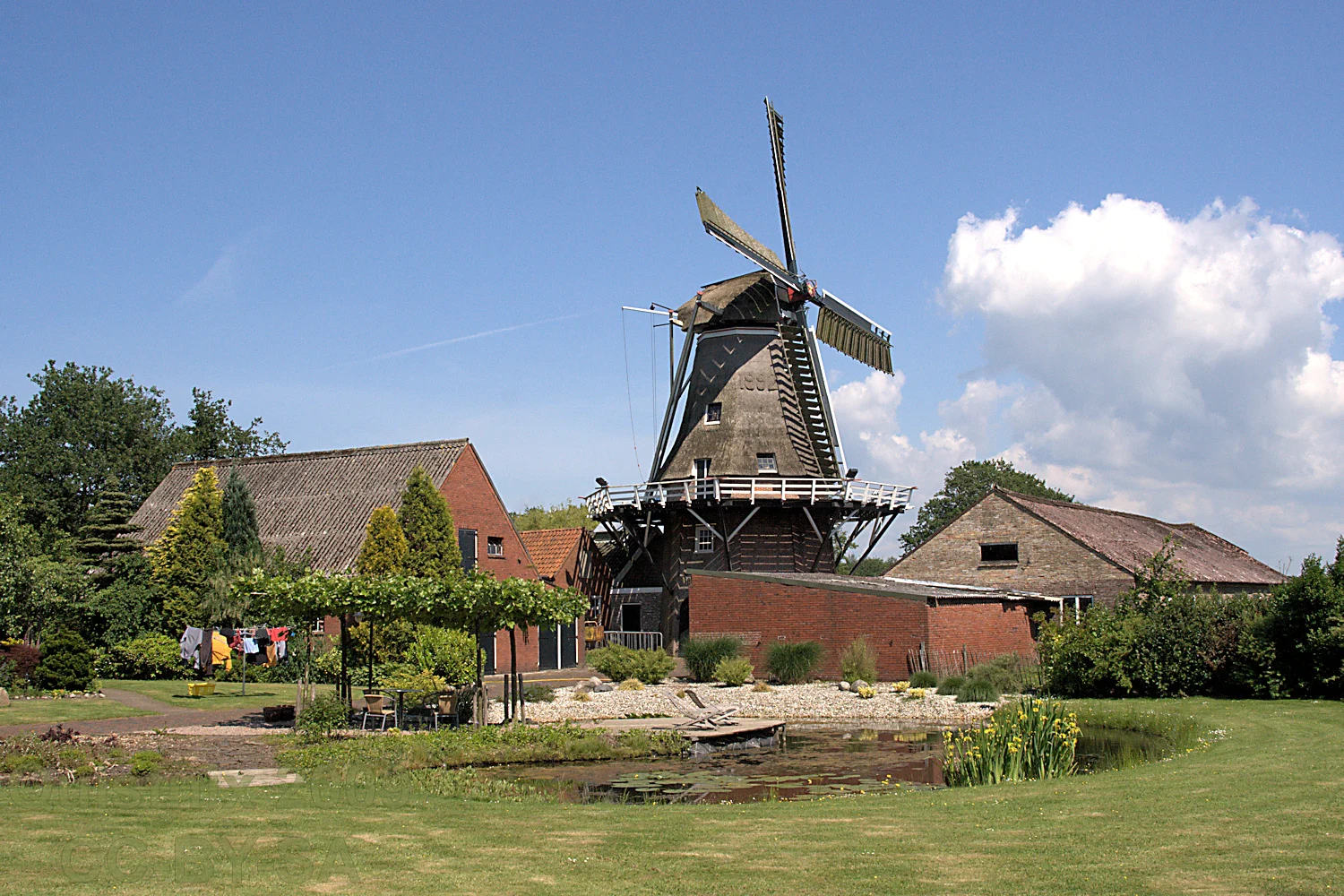 Surhuisterveen