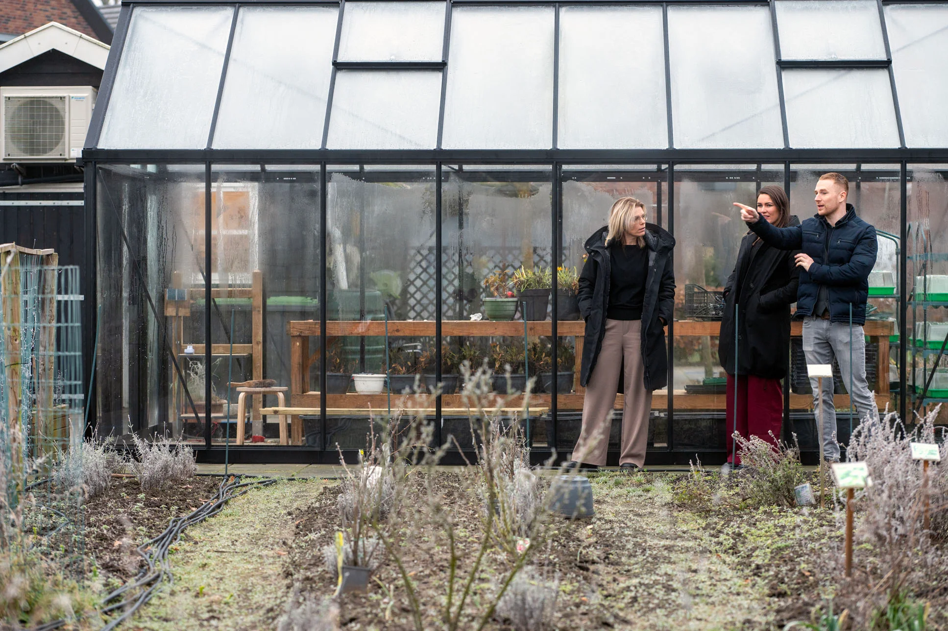 Boom planten